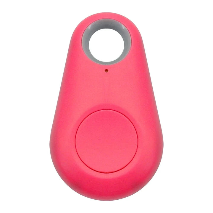Pet Smart GPS Tracker