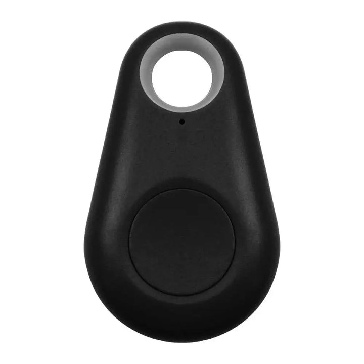 Pet Smart GPS Tracker