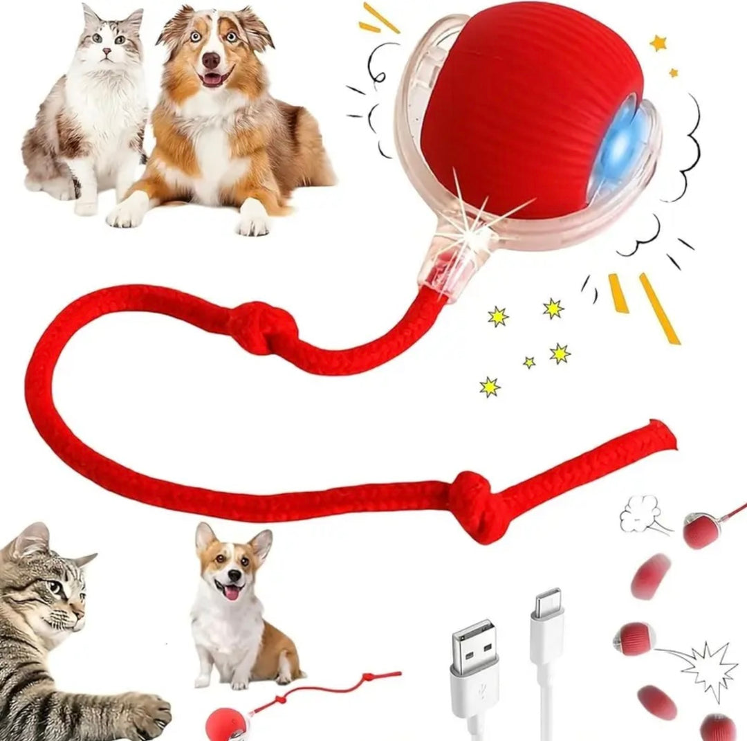 Rechargeable Smart Pet Chase Ball – Automatic Bouncing Toy for Indoor Cat & Dog Enrichment with Tail Attachment