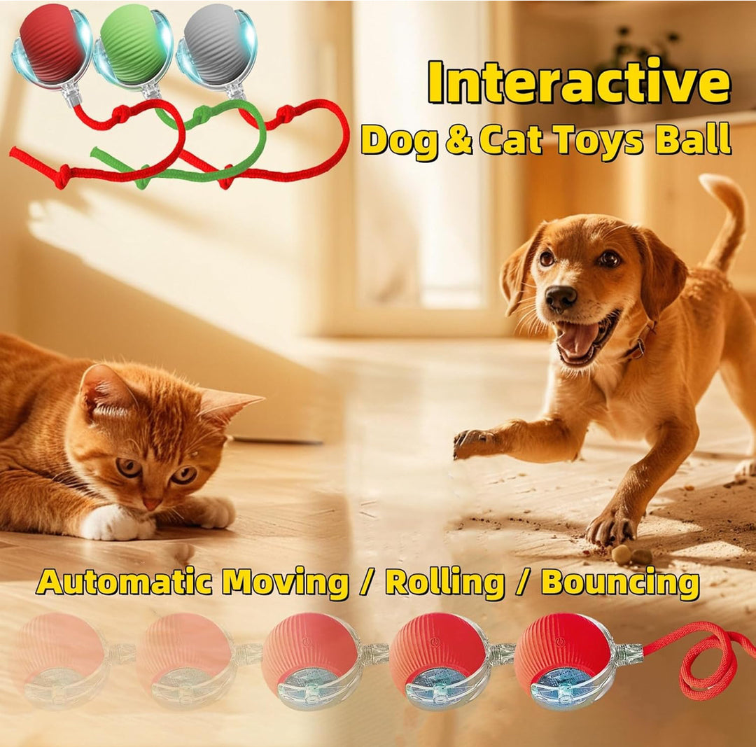 Rechargeable Smart Pet Chase Ball – Automatic Bouncing Toy for Indoor Cat & Dog Enrichment with Tail Attachment