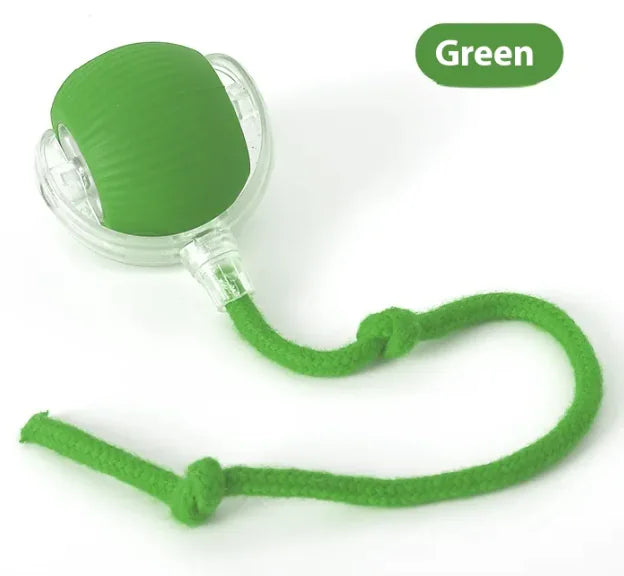 Rechargeable Smart Pet Chase Ball – Automatic Bouncing Toy for Indoor Cat & Dog Enrichment with Tail Attachment